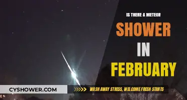 February Meteor Showers: What to Expect in the Night Sky