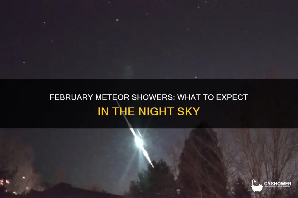 is there a meteor shower in february