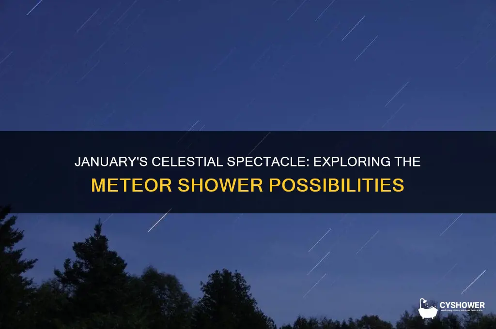 is there a meteor shower in january