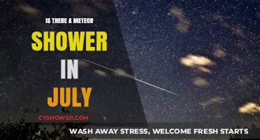 July's Night Sky: Meteor Shower Expectations and Viewing Tips