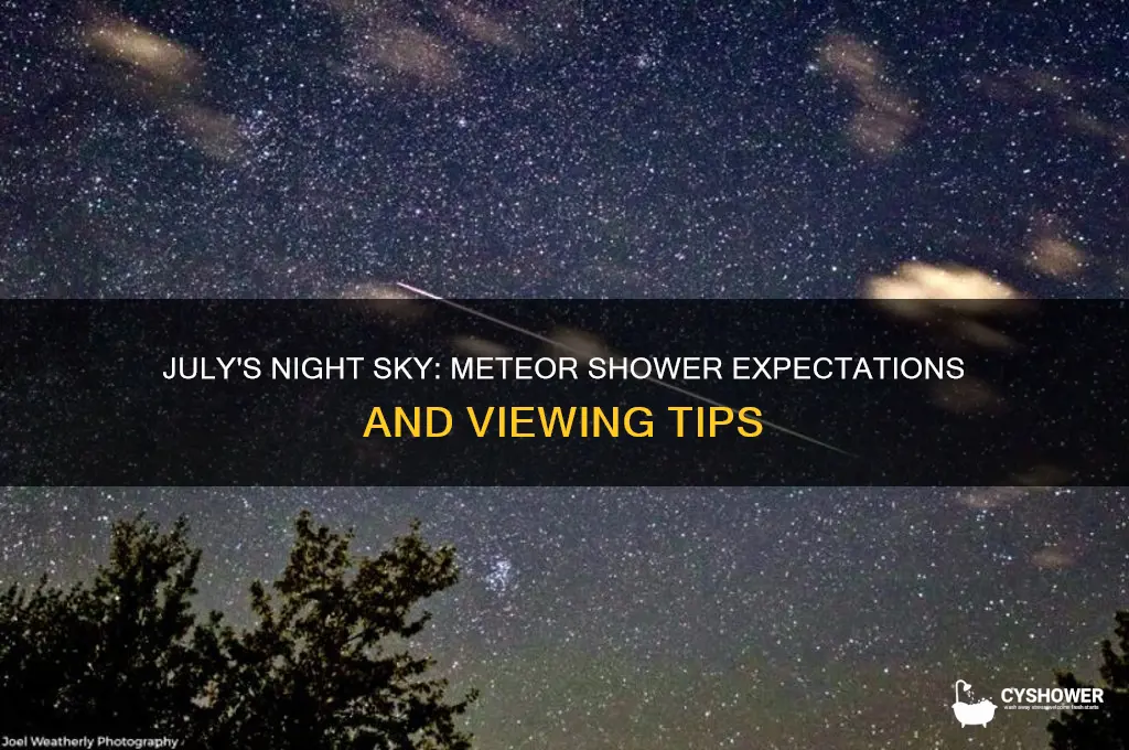 is there a meteor shower in july