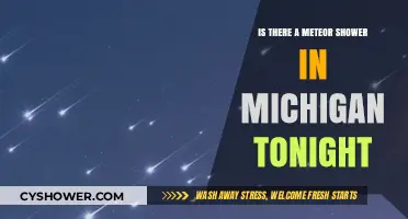 Michigan Skies Tonight: Meteor Shower Visibility and Viewing Tips