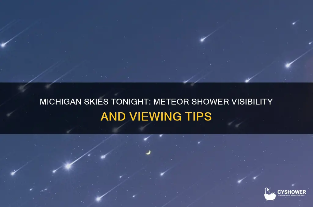 is there a meteor shower in michigan tonight