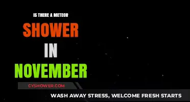 November's Night Sky: Meteor Shower Expectations and Viewing Tips