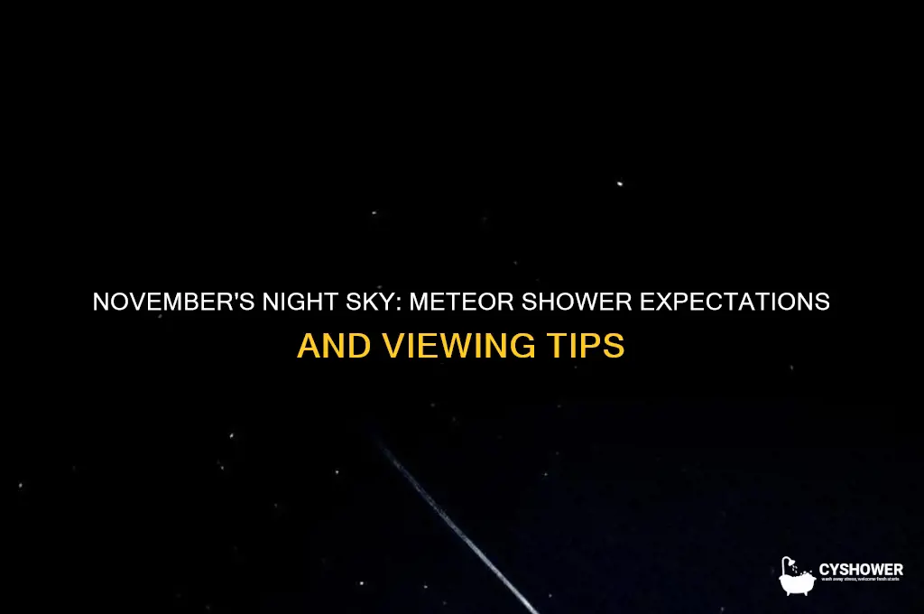 is there a meteor shower in november