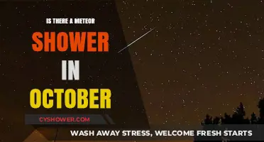 October's Celestial Spectacle: Meteor Shower Expectations and Viewing Tips