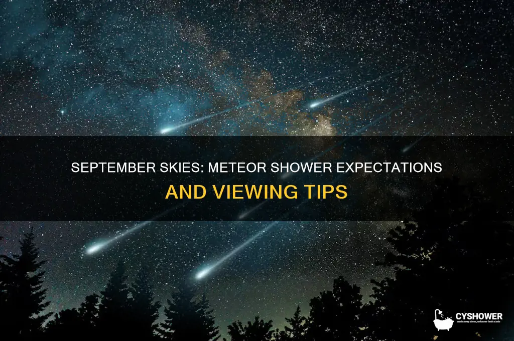is there a meteor shower in september