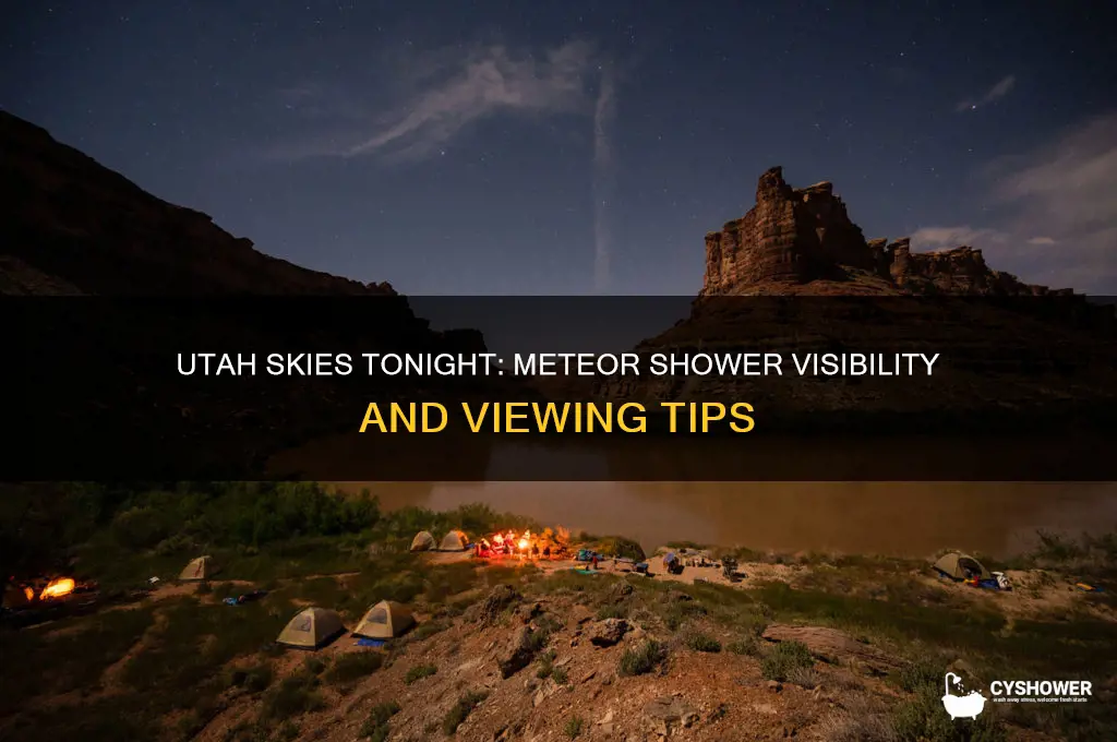 is there a meteor shower in utah tonight