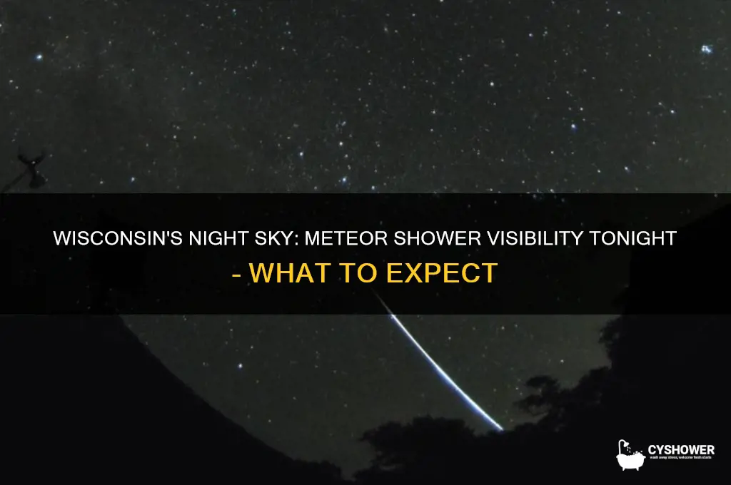 is there a meteor shower in wisconsin tonight