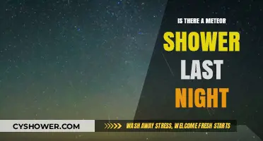 Did You Spot the Meteor Shower Last Night?