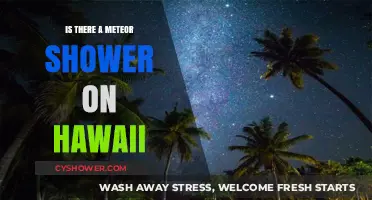 Hawaii's Night Sky: Meteor Shower Visibility and Best Viewing Tips