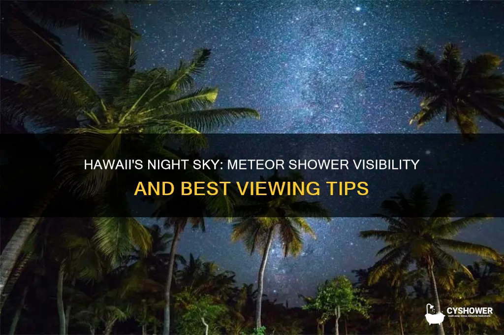 is there a meteor shower on hawaii