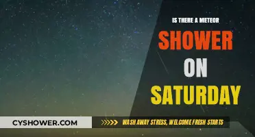 Stargazing Saturday: Will a Meteor Shower Light Up the Night?