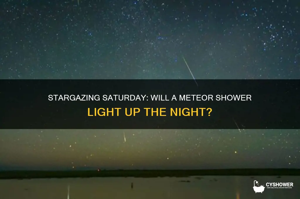 is there a meteor shower on saturday