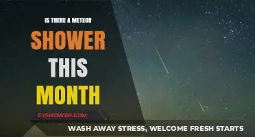 Meteor Shower Alert: What to Expect in the Night Sky This Month