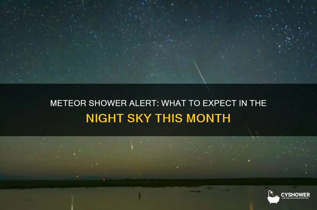 is there a meteor shower this month