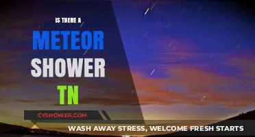 Meteor Shower Tonight? How to Spot Shooting Stars in the Sky
