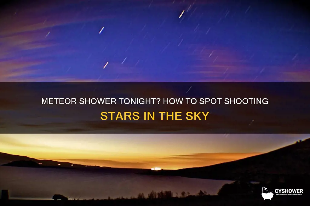 is there a meteor shower tn