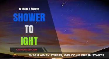 Tonight's Sky: Meteor Shower Visibility and Viewing Tips