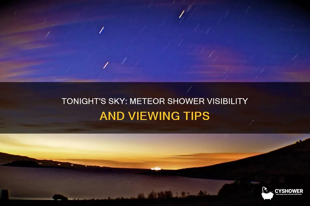 is there a meteor shower to ight