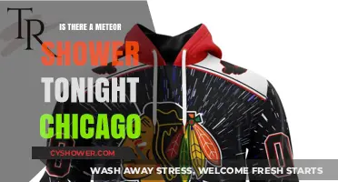 Chicago's Night Sky: Meteor Shower Visibility Tonight?