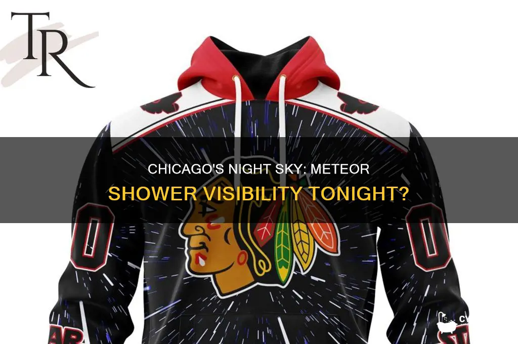 is there a meteor shower tonight chicago