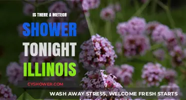 Illinois Skies Tonight: Meteor Shower Visibility and Viewing Tips