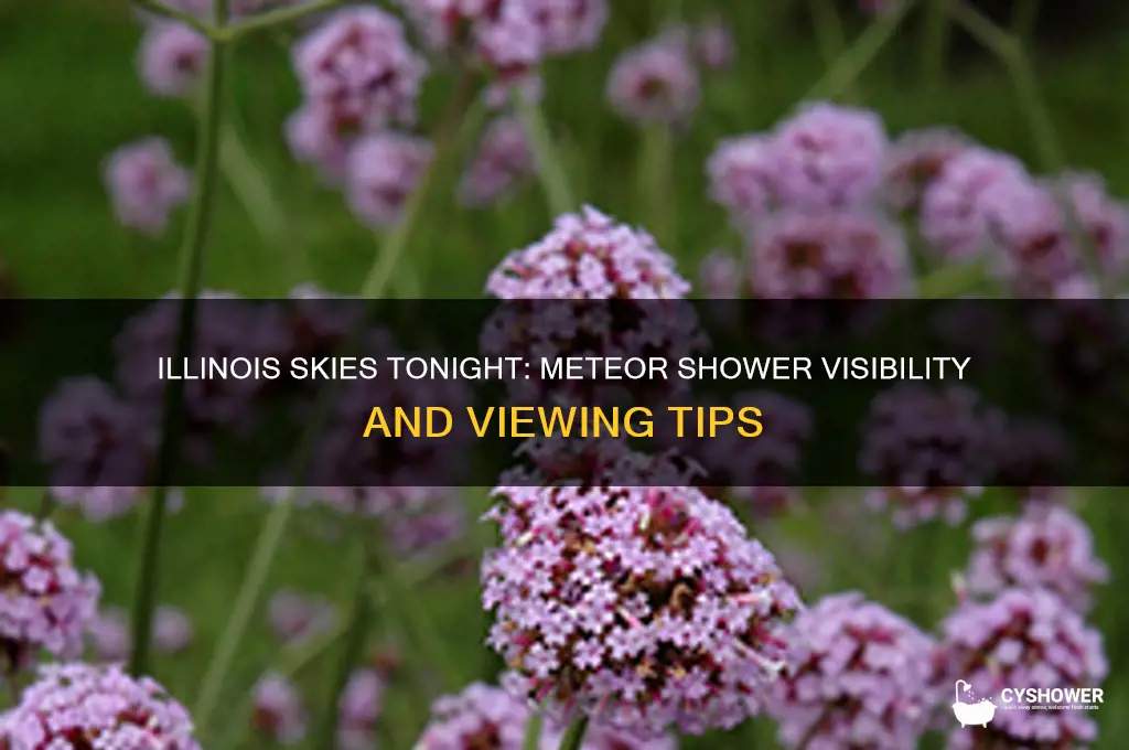 is there a meteor shower tonight illinois
