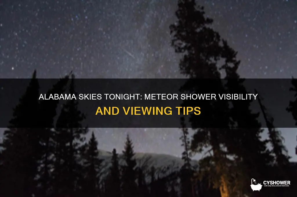 is there a meteor shower tonight in alabama