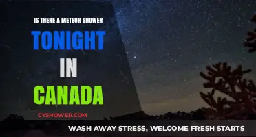 Canada's Night Sky: Meteor Shower Visibility Tonight - What to Expect