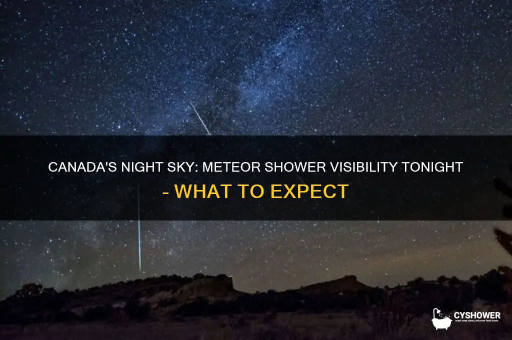 is there a meteor shower tonight in canada