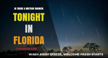 Florida Skies Tonight: Meteor Shower Visibility and Viewing Tips