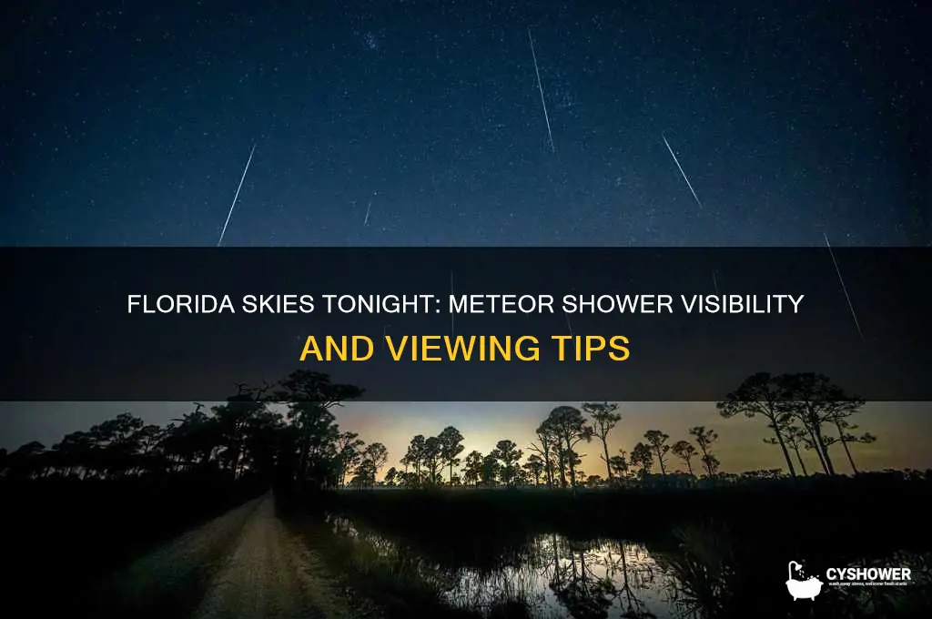 is there a meteor shower tonight in florida