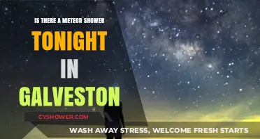 Galveston's Night Sky: Meteor Shower Visibility Tonight?