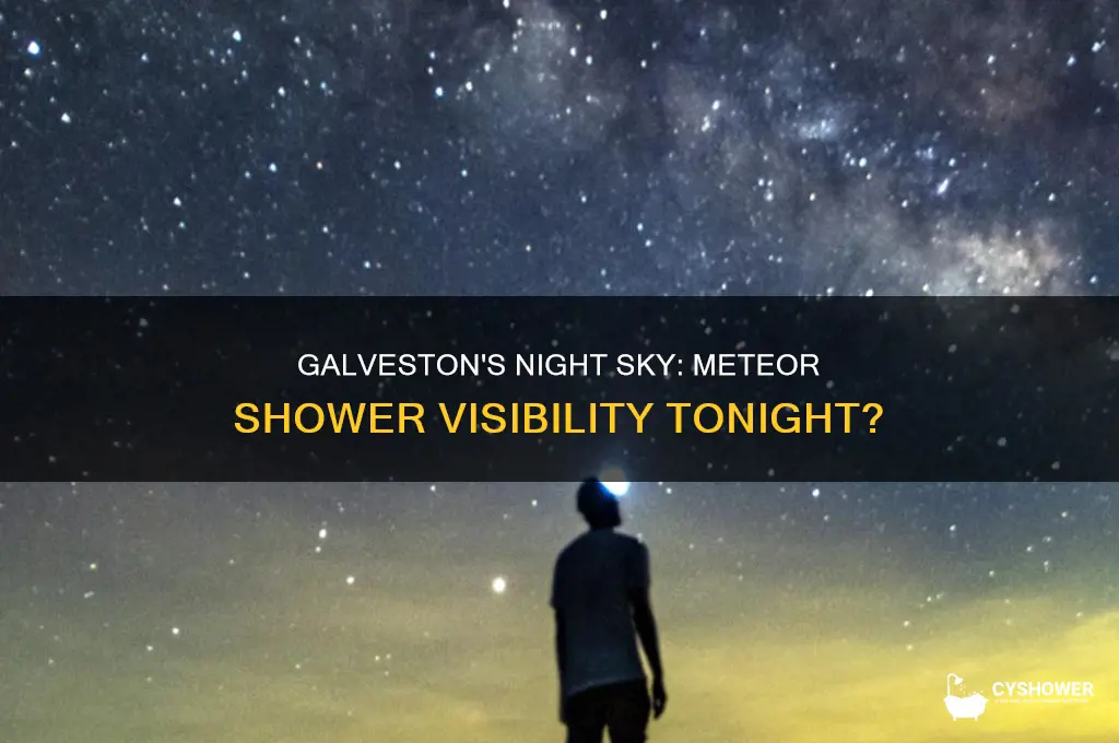 is there a meteor shower tonight in galveston