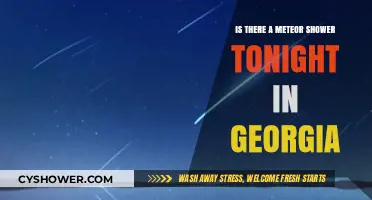Georgia's Night Sky: Meteor Shower Visibility Tonight?