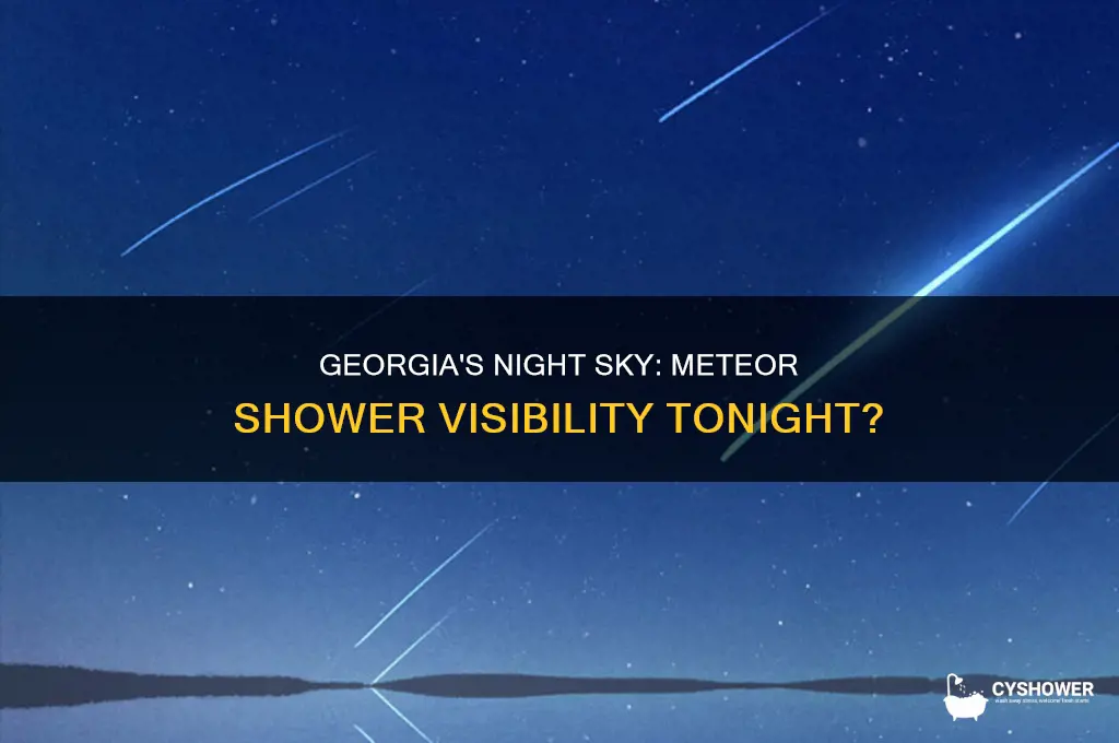 is there a meteor shower tonight in georgia