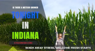 Indiana's Night Sky: Meteor Shower Visibility Tonight?