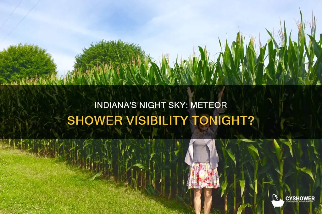 is there a meteor shower tonight in indiana