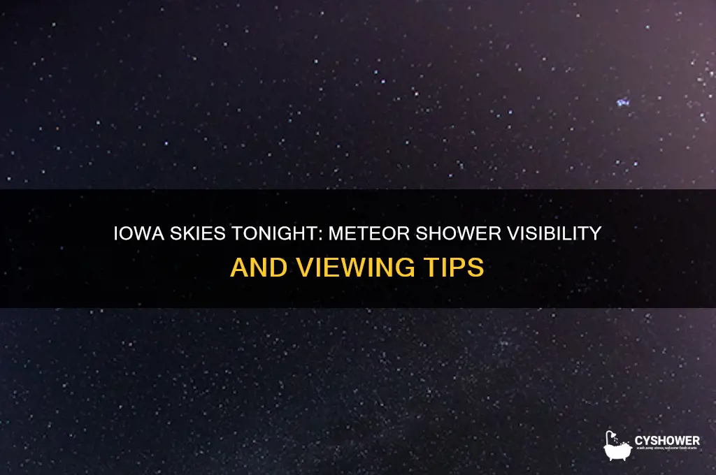 is there a meteor shower tonight in iowa