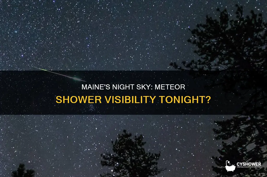 is there a meteor shower tonight in maine