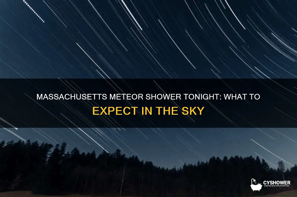 is there a meteor shower tonight in massachusetts