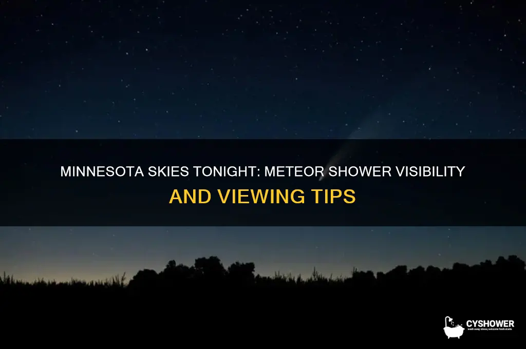 is there a meteor shower tonight in minnesota