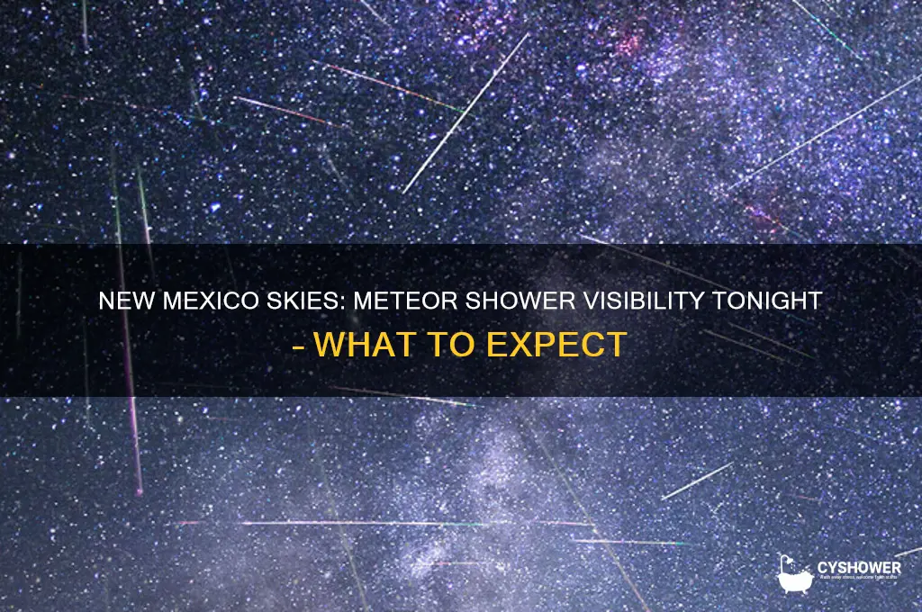 is there a meteor shower tonight in new mexico