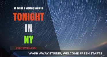 Meteor Shower Tonight in NY: Visibility and Peak Times