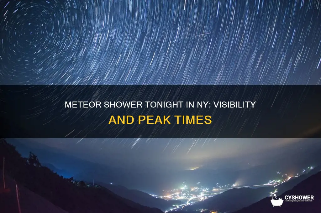 is there a meteor shower tonight in ny