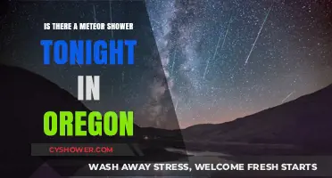 Oregon Skies Tonight: Meteor Shower Visibility and Viewing Tips