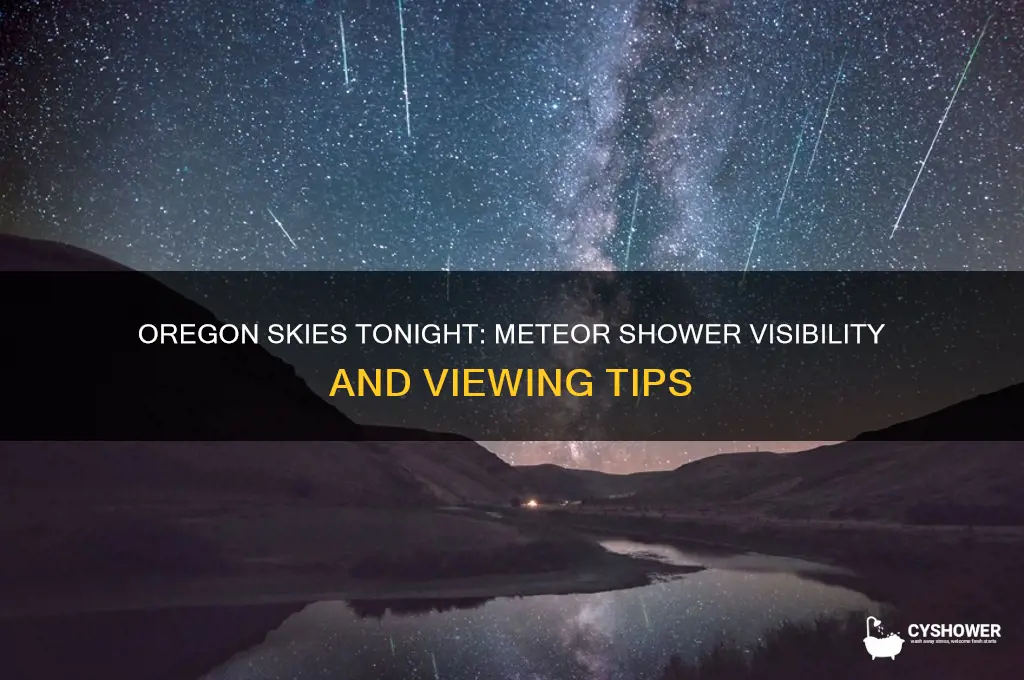 is there a meteor shower tonight in oregon