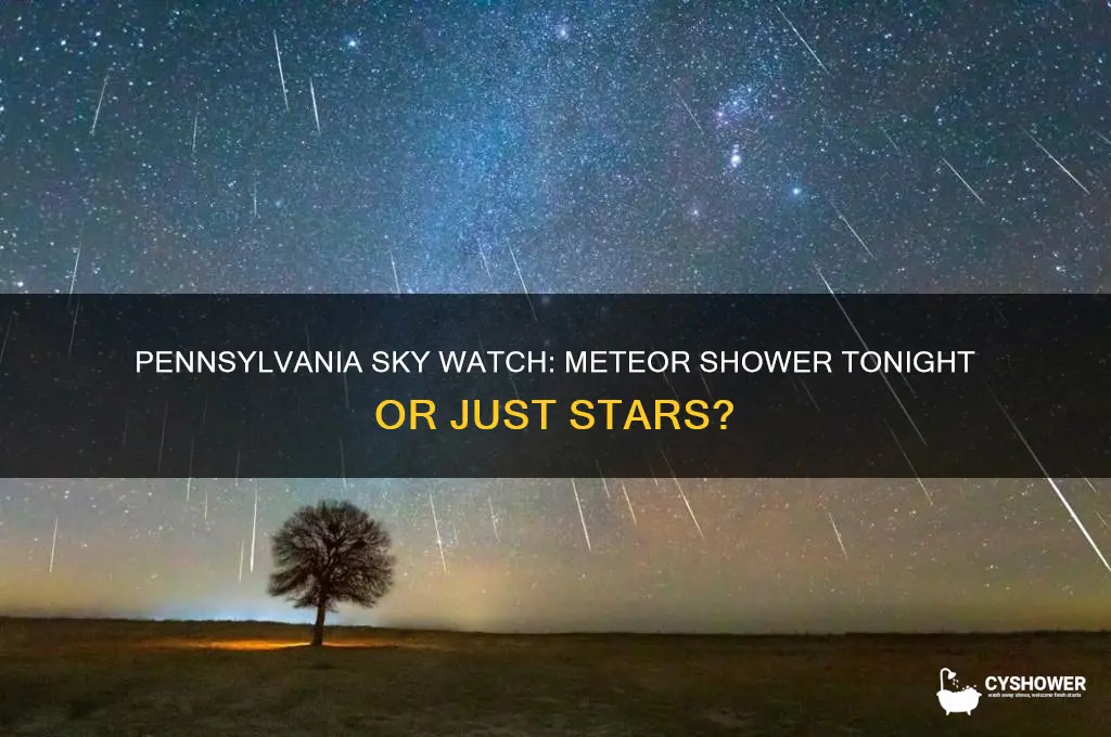 is there a meteor shower tonight in pa