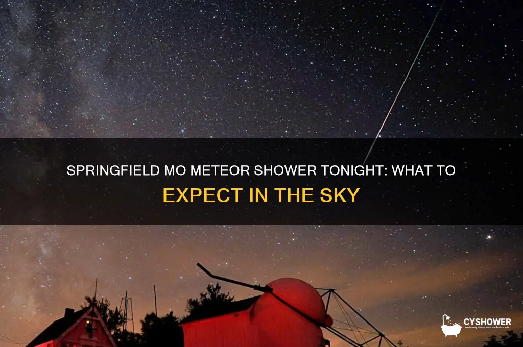 is there a meteor shower tonight in springfield mo